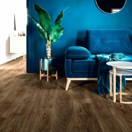 LAUREL OAK 51852
